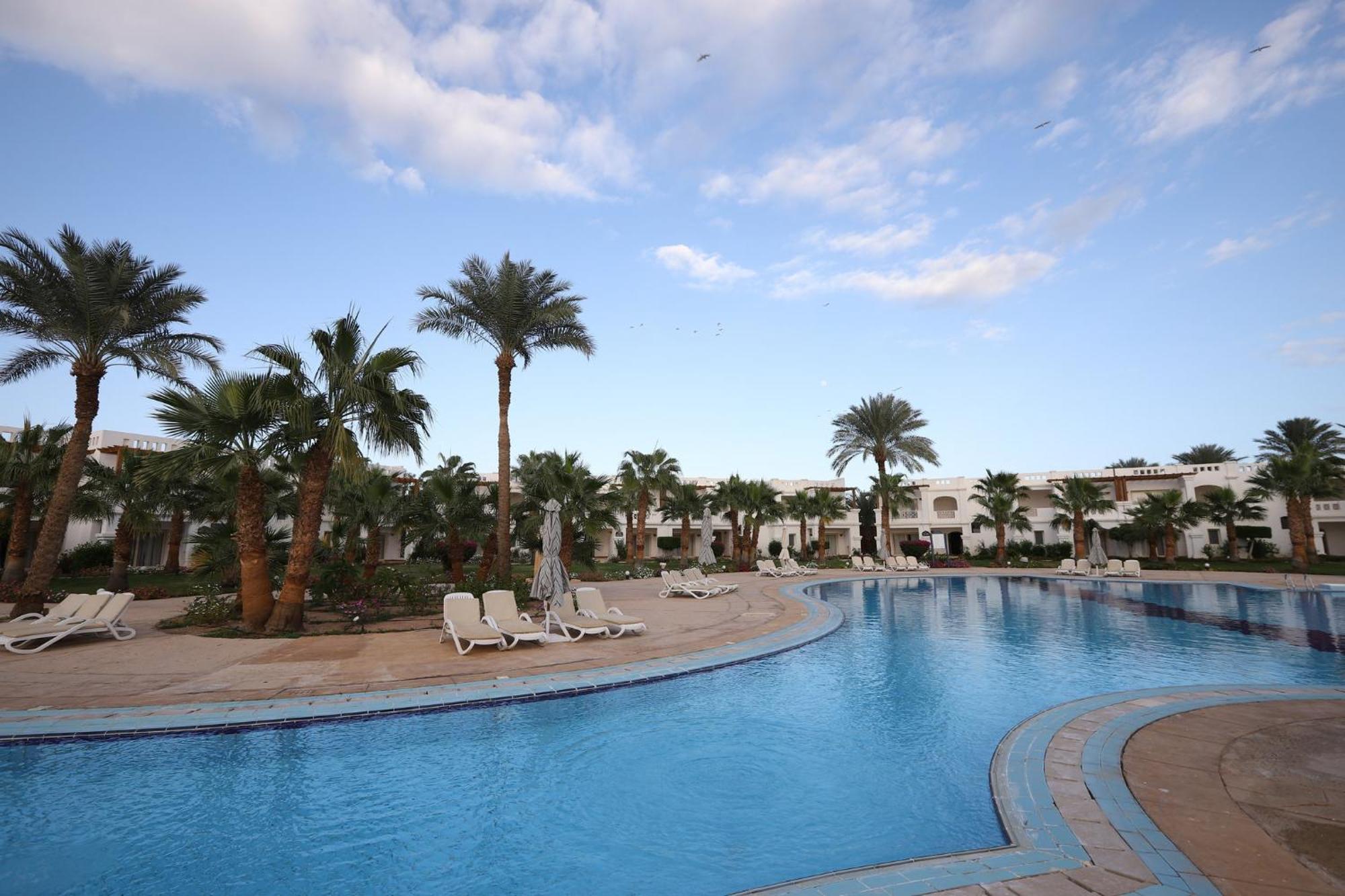 Continental Plaza فندق